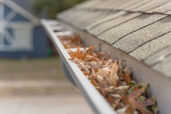 Leaf Barrier Installation in Fletcher